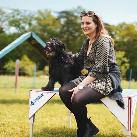 Hof Köhne - Haus Am Spielplatz - Kuh *