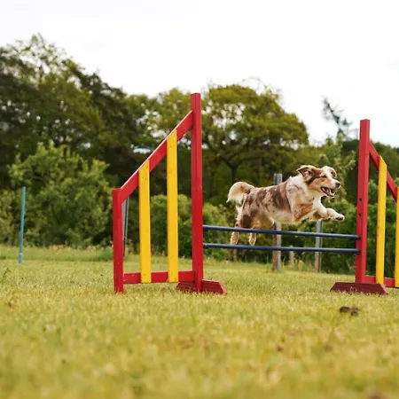 Hof Koehne - Haus Am Spielplatz - Kuh Apartment