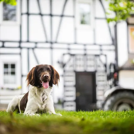 Hof Koehne - Haus Am Spielplatz - Kuh アパート シュマレンベルク