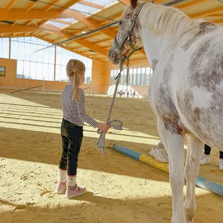 Hof Koehne - Haus Am Spielplatz - Kuh アパート シュマレンベルク