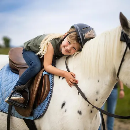 Hof Koehne - Haus Am Spielplatz - Kuh Schmallenberg