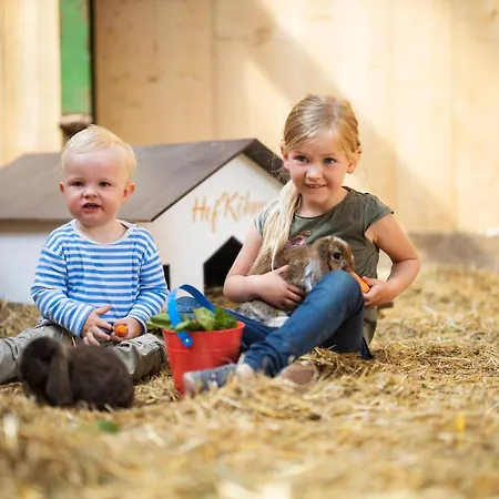 Hof Koehne - Haus Am Spielplatz - Kuh Schmallenberg