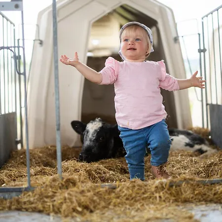 Hof Koehne - Haus Am Spielplatz - Kuh アパート シュマレンベルク