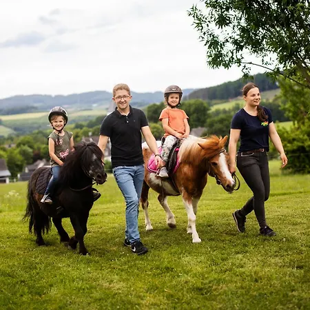 Hof Koehne - Haus Am Spielplatz - Kuh *