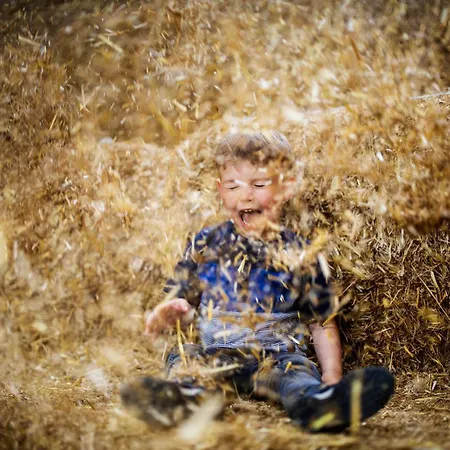 Hof Koehne - Haus Am Spielplatz - Kuh *