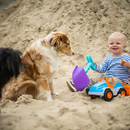 Hof Koehne - Haus Am Spielplatz - Kuh *