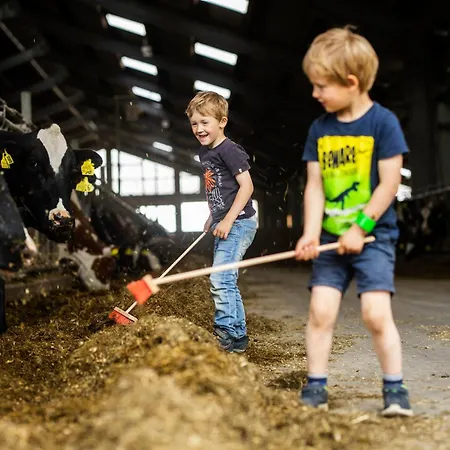 Apartment Hof Koehne - Haus Am Spielplatz - Kuh Schmallenberg
