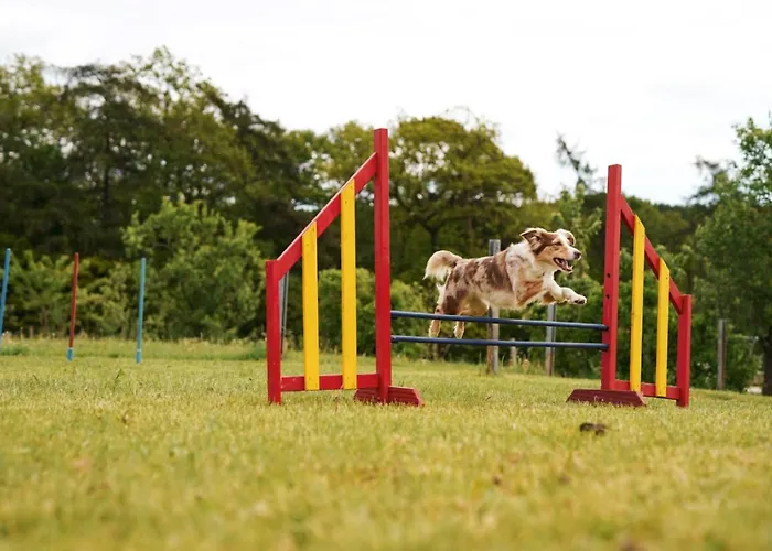 Hof Koehne - Haus Am Spielplatz - Kuh Διαμέρισμα