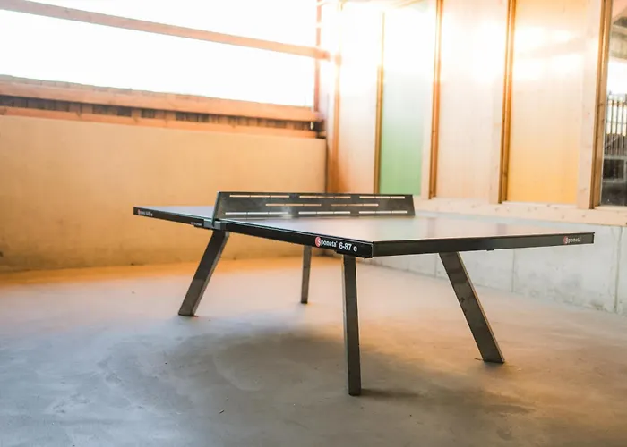 Hof Koehne - Haus Am Spielplatz - Kuh Schmallenberg