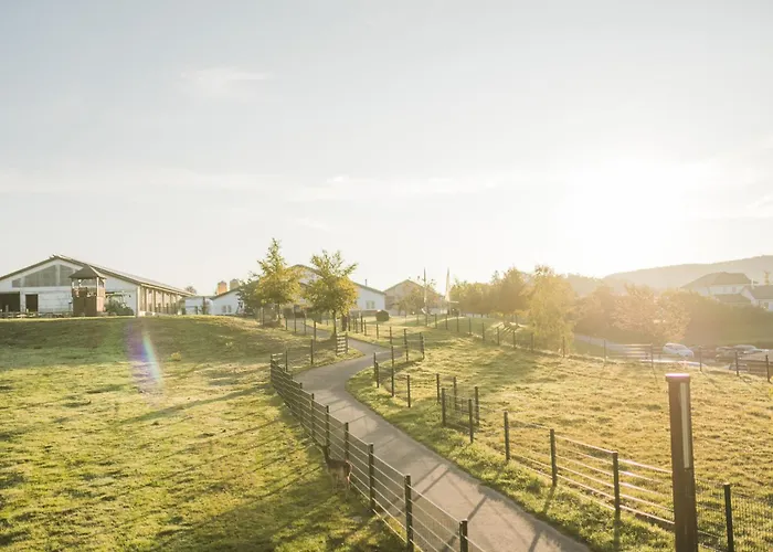 Hof Koehne - Haus Am Spielplatz - Kuh Διαμέρισμα Schmallenberg