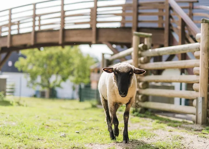 Hof Koehne - Haus Am Spielplatz - Kuh