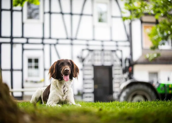 Hof Koehne - Haus Am Spielplatz - Kuh Διαμέρισμα Schmallenberg