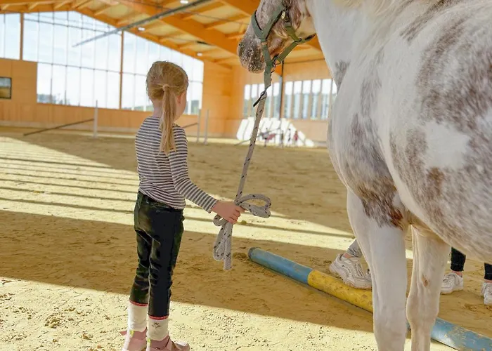 Hof Koehne - Haus Am Spielplatz - Kuh Διαμέρισμα Schmallenberg